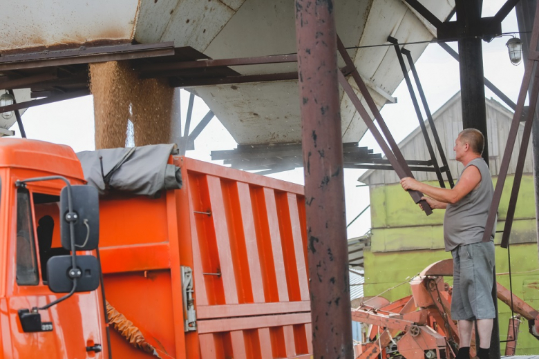 Уборка зерна в Ростовской области приближается к экватору